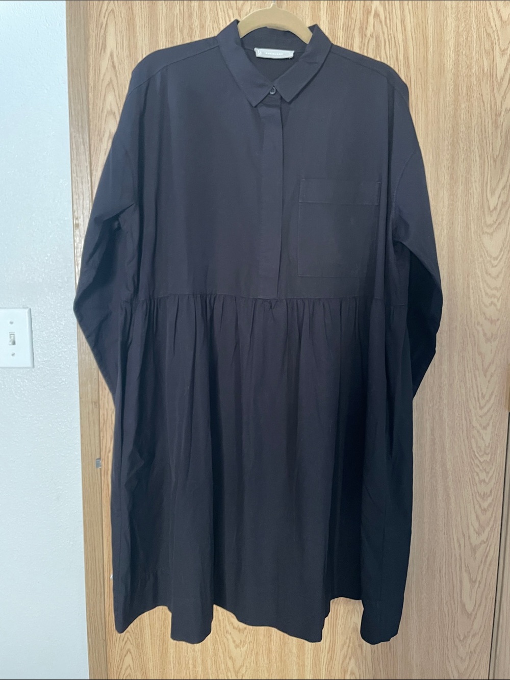 Everlane Black Button-Up Shirt Dress